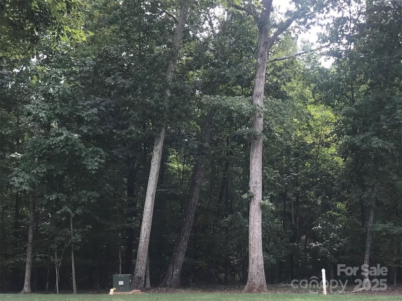 Property image 2 of 6107 Volte Drive in Cheval, Mint Hill, NC 28227