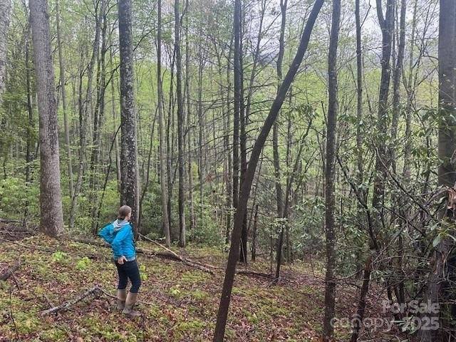 99999 Fairview Forest Drive