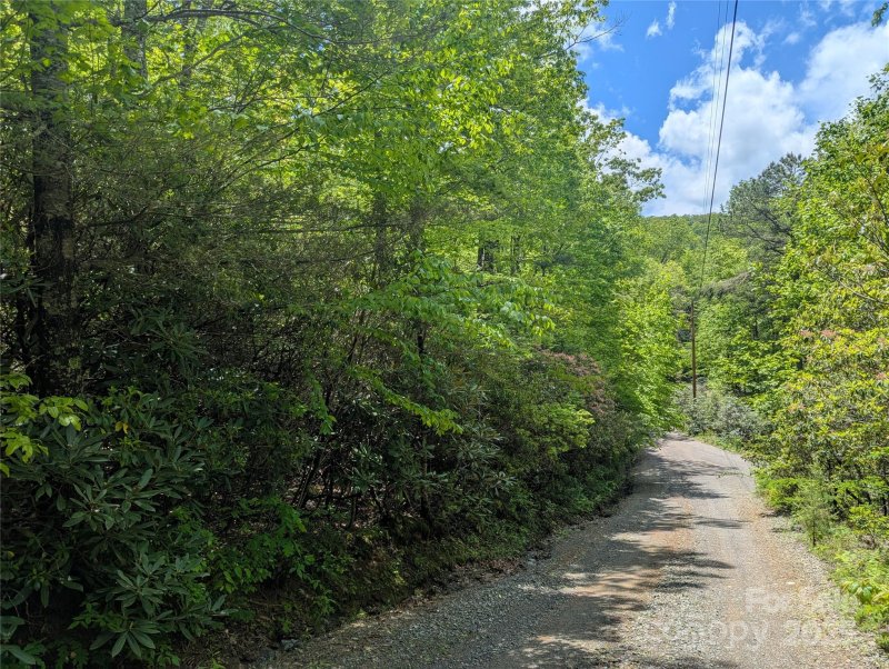 Property image 5 of 99999 Prospectors Trail in Treehaven, Black Mountain, NC 28711