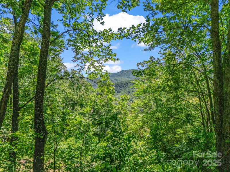 Property image 2 of 1029 Kestrel Lane in Creston, Black Mountain, NC 28711