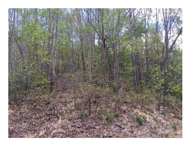 Property image 4 of 1029 Kestrel Lane in Creston, Black Mountain, NC 28711