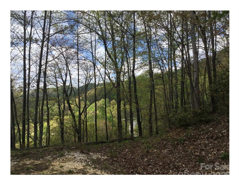 Property image 5 of 1029 Kestrel Lane in Creston, Black Mountain, NC 28711