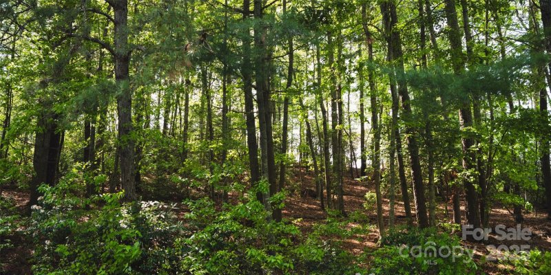 Property image 4 at 55 W Fairway Drive, Etowah, NC 28729