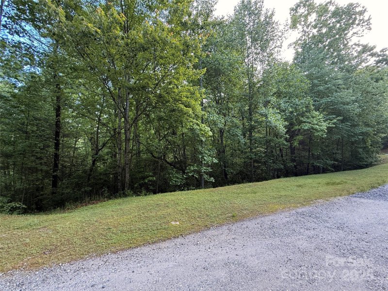 Property image 2 of 0000 Camp Cove Road in Summit Landing, Zirconia, NC 28790