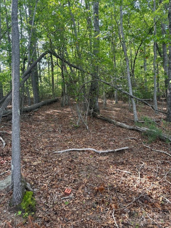 Property image 2 at 37 W Fairway Drive, Etowah, NC 28729