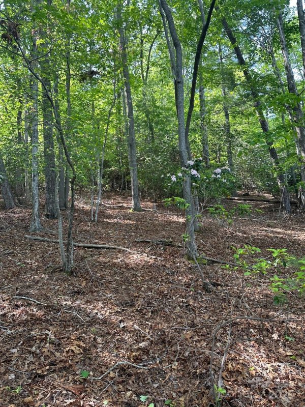 Property image 3 at 37 W Fairway Drive, Etowah, NC 28729