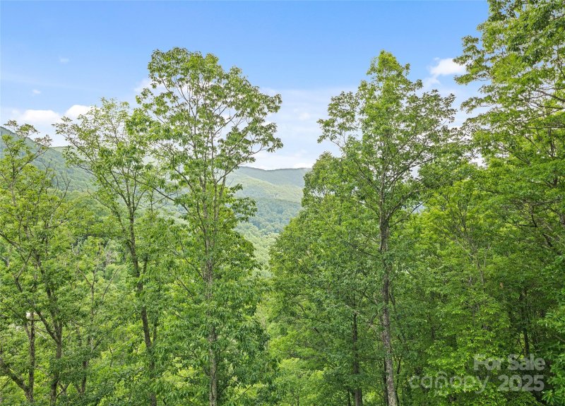 Property image 2 of 20a Lila Lane in Mount Soma, Clyde, NC 28721