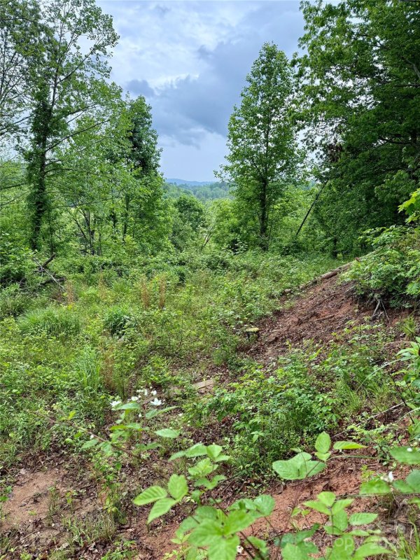 Property image 3 of 12 Willow Knoll Drive in Clearview Estates, Weaverville, NC 28787