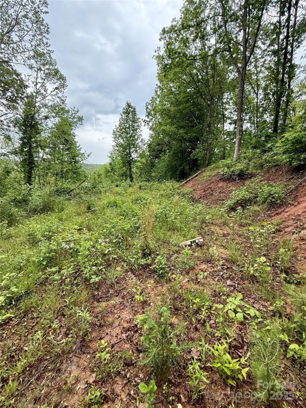 Property image 4 of 12 Willow Knoll Drive in Clearview Estates, Weaverville, NC 28787