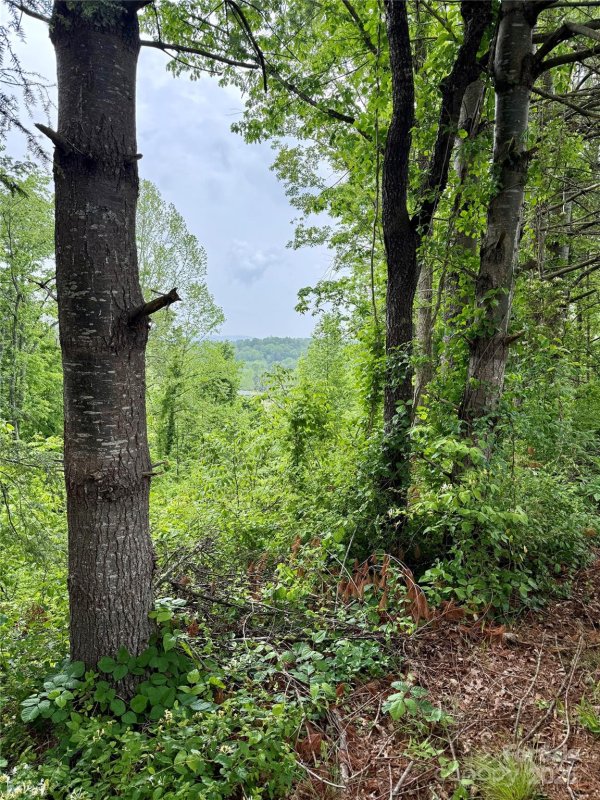 Property image 5 of 12 Willow Knoll Drive in Clearview Estates, Weaverville, NC 28787