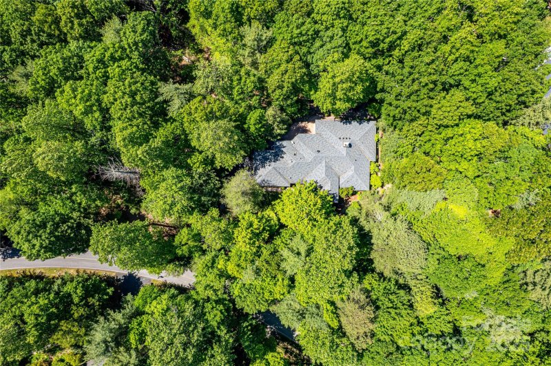 Property image 3 of 200 Maple Hill Drive in Kenmure, Flat Rock, NC 28731