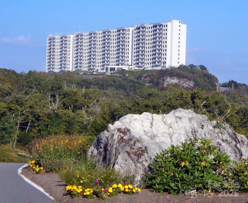 Property image 2 at 303 Sugar Top Drive, Sugar Mountain, NC 28604