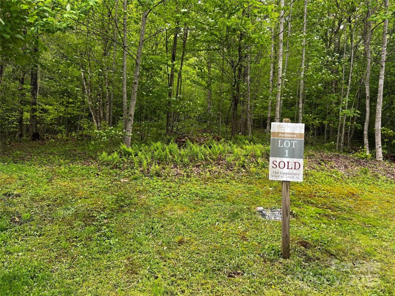 Property image 2 of 1 Pearl Way in The Preserve at Wolf Laurel, Mars Hill, NC 28754