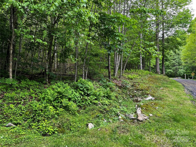 Property image 3 of 1 Pearl Way in The Preserve at Wolf Laurel, Mars Hill, NC 28754