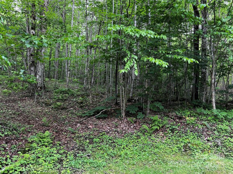 Property image 4 of 1 Pearl Way in The Preserve at Wolf Laurel, Mars Hill, NC 28754