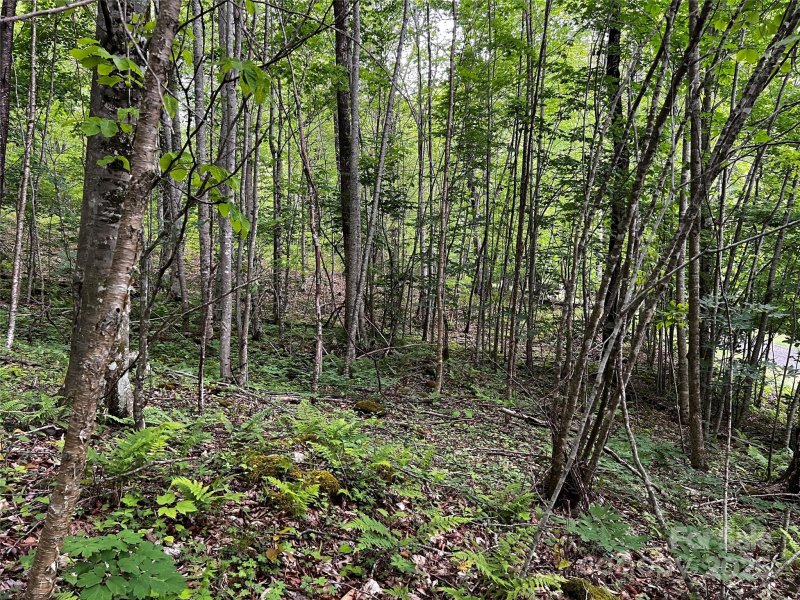 Property image 5 of 1 Pearl Way in The Preserve at Wolf Laurel, Mars Hill, NC 28754