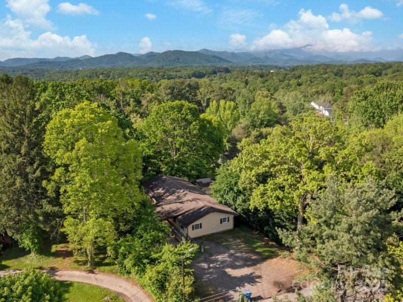 Property image 3 of 290 Deaverview Road in West Asheville, Asheville, NC 28806