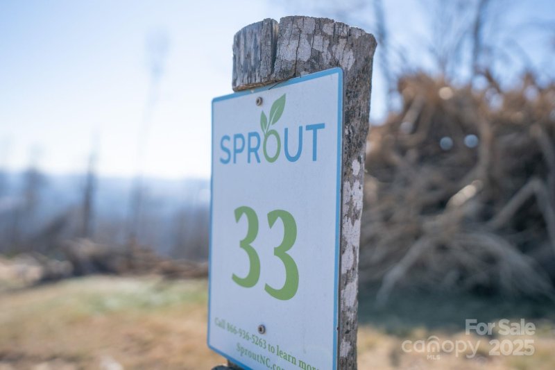 Property image 5 of Tbd East Garden Trail in Sprout, Fletcher, NC 28732