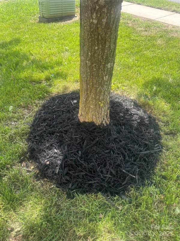 Property image 5 at 4521 Palustris Court, Charlotte, NC 28269