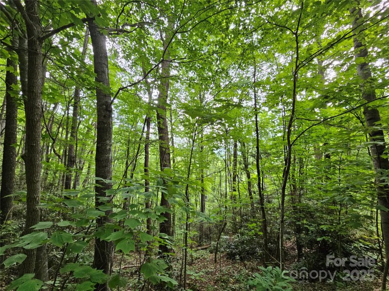 Property image 2 of 00 Autumn Drive in Cherry Hill Est, Waynesville, NC 28785