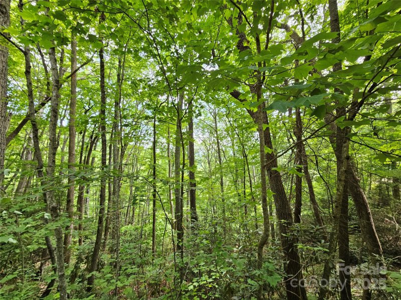 Property image 4 of 00 Autumn Drive in Cherry Hill Est, Waynesville, NC 28785