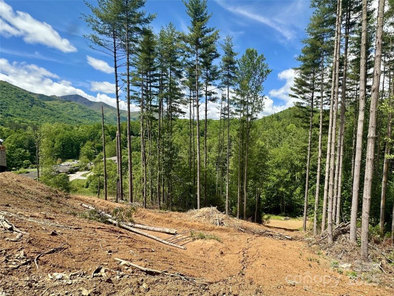 Property image 2 of 185 Southpoint Ridge in Masters Landing, Maggie Valley, NC 28751