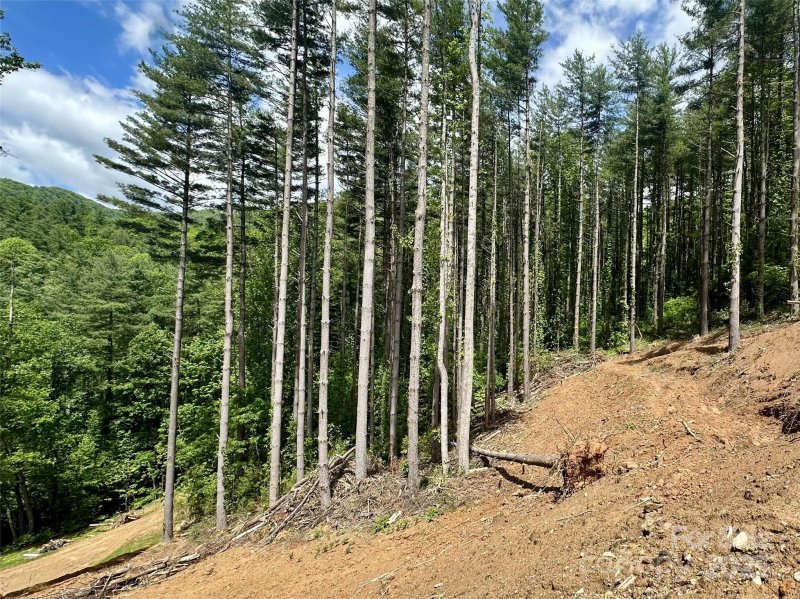 Property image 4 of 185 Southpoint Ridge in Masters Landing, Maggie Valley, NC 28751