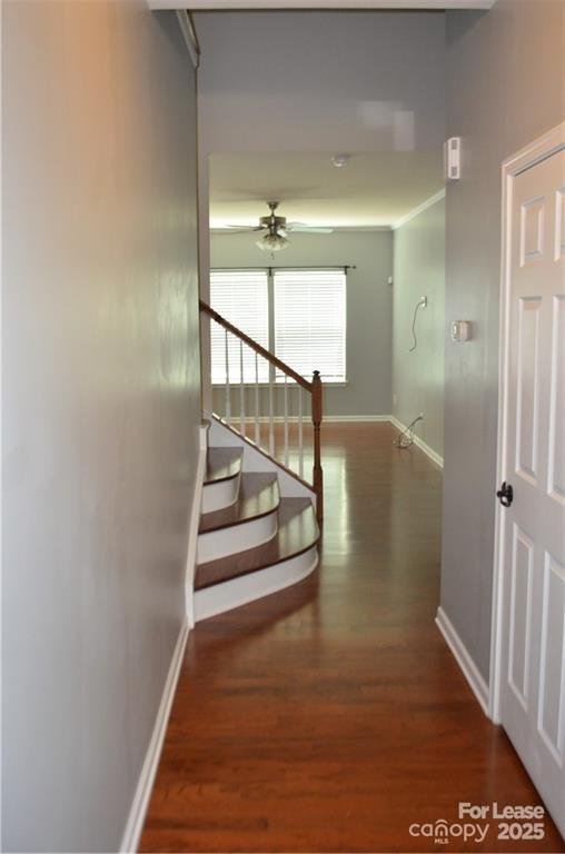 Property image 3 at 11907 Elizabeth Madison Court, Charlotte, NC 28277