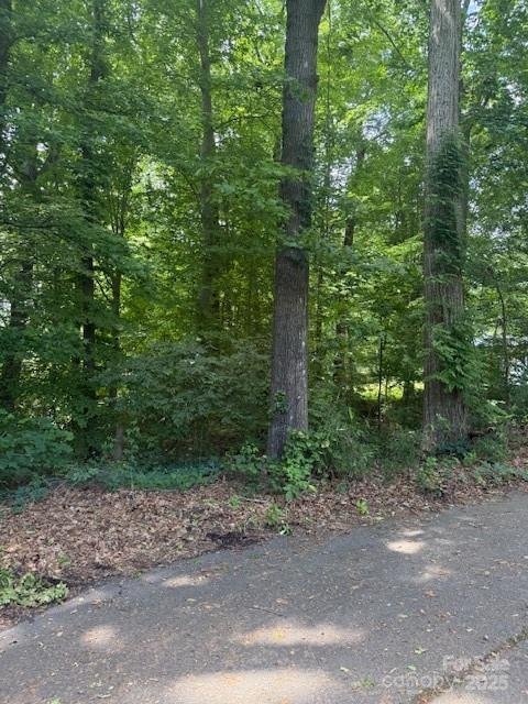 Property image 3 of 00 Greentree Drive in Dickson Heights, Mount Holly, NC 28120