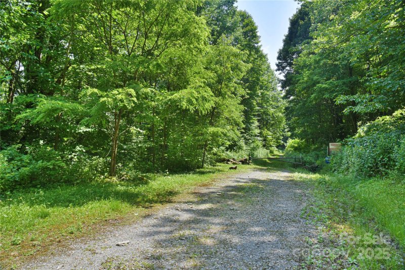 Property image 3 of 99999 Upward Way in The Willows, Waynesville, NC 28785