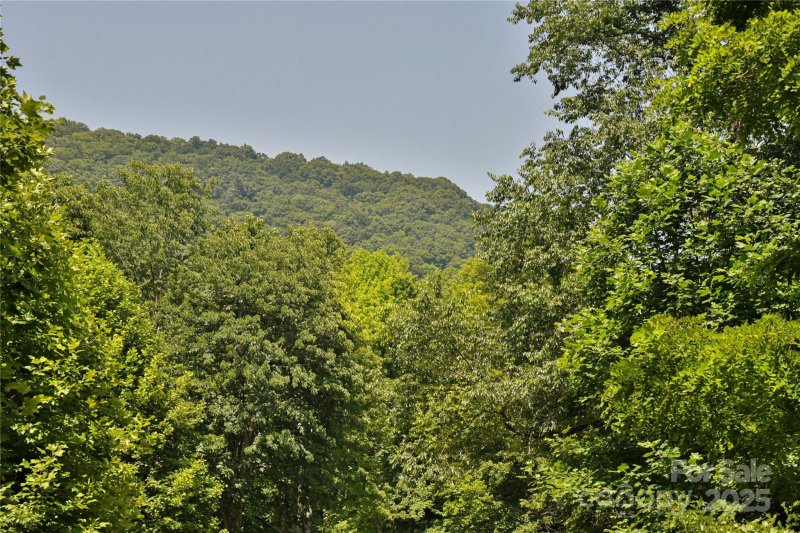 Property image 5 of 99999 Upward Way in The Willows, Waynesville, NC 28785