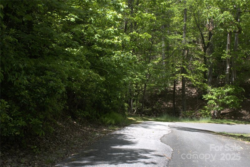Property image 5 of 0 Blockaders Den None in White Oak Mountain, Columbus, NC 28722