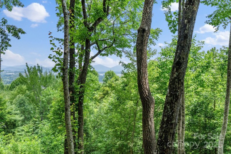 Property image 4 of 120 Split Rock Trail in The Cliffs At Walnut Cove, Arden, NC 28704