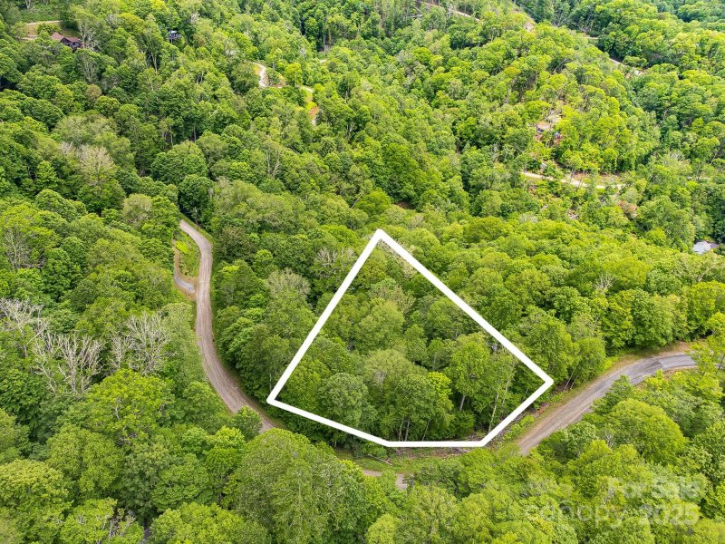 Property image 5 of 65 Bee Tree Lane in Wolf Laurel, Mars Hill, NC 28754