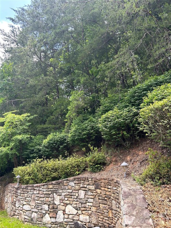 Property image 3 of 143 Cornell Circle in Apple Valley Farms, Lake Lure, NC 28746