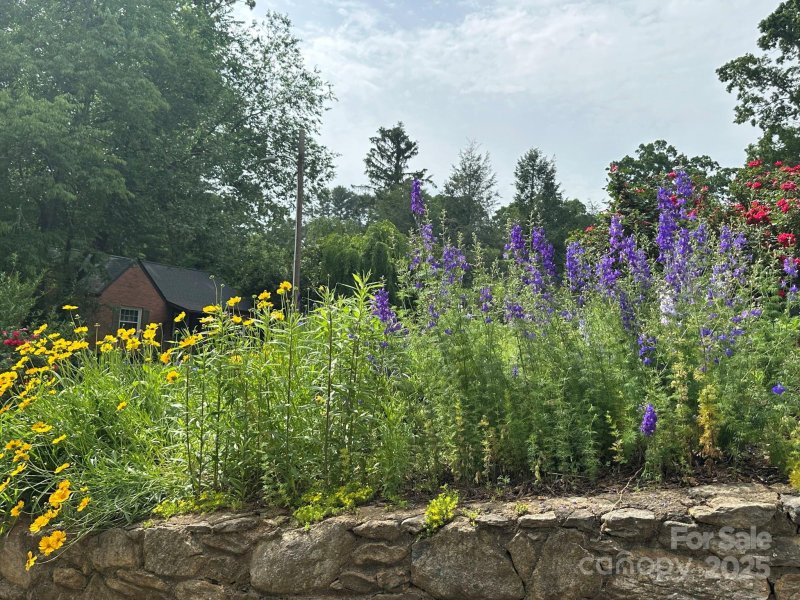 Property image 5 at 12 Canterbury Road, Asheville, NC 28805