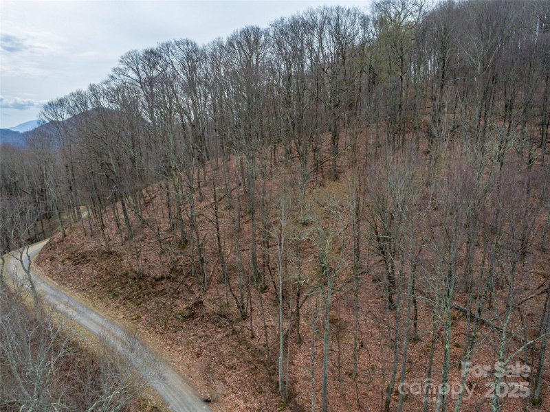 Property image 3 of 00 Chestnut Lane in Wolf Laurel, Mars Hill, NC 28754