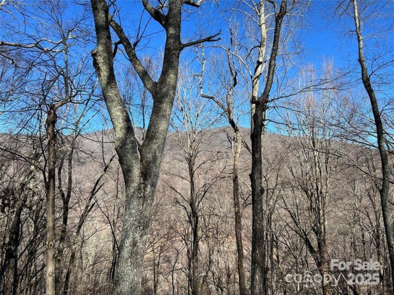 Property image 4 of 00 Chestnut Lane in Wolf Laurel, Mars Hill, NC 28754
