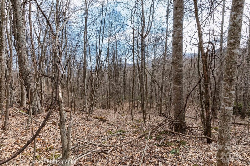 Property image 2 of 9 Chandra Lane in Mount Soma, Clyde, NC 28721