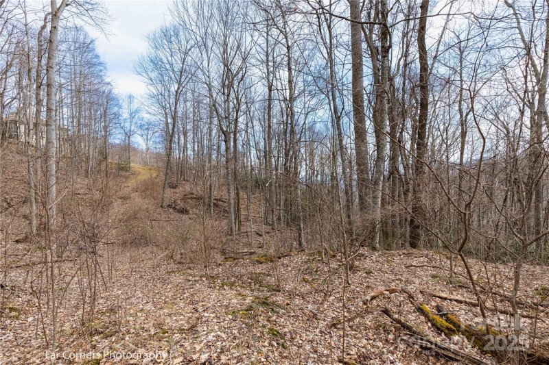 Property image 5 of 9 Chandra Lane in Mount Soma, Clyde, NC 28721