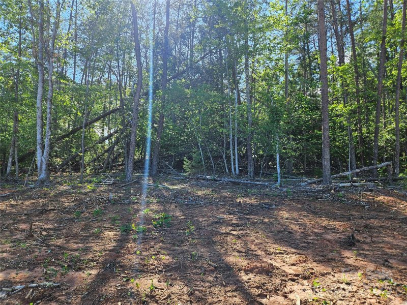 Property image 3 at 305 Winding Creek Drive, Morganton, NC 28655