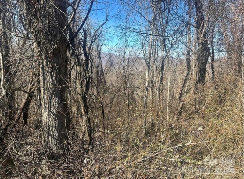 Property image 2 of 160 Aquarius Road in Rolling Acres Estates, Canton, NC 28716