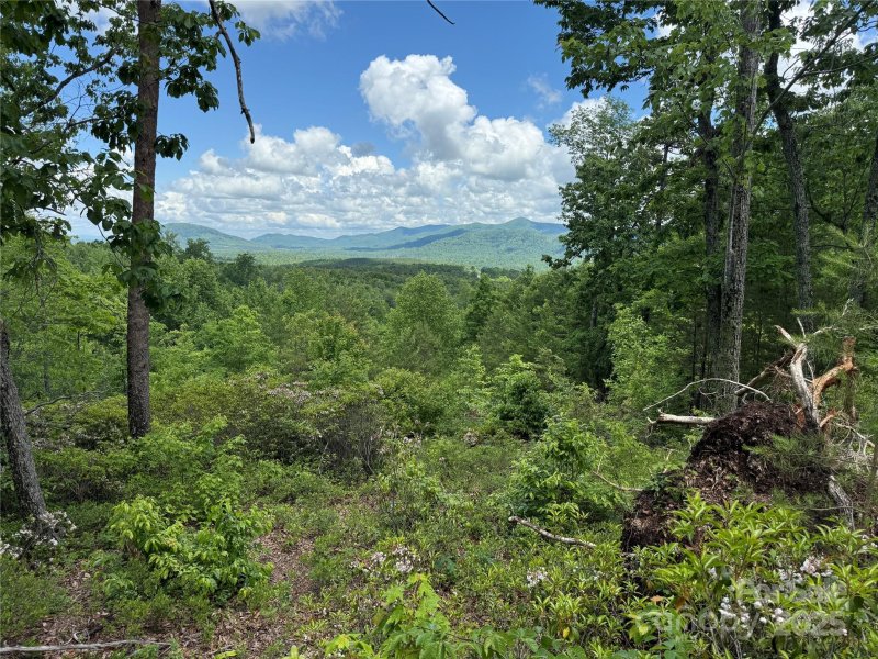 Property image 3 at 113 Valley View Trail, Nebo, NC 28761