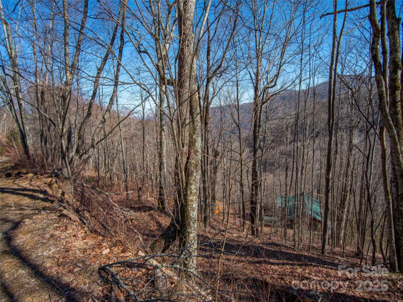 Property image 2 of 00 Long Branch Road in Smokey Mountain Acres, Maggie Valley, NC 28751