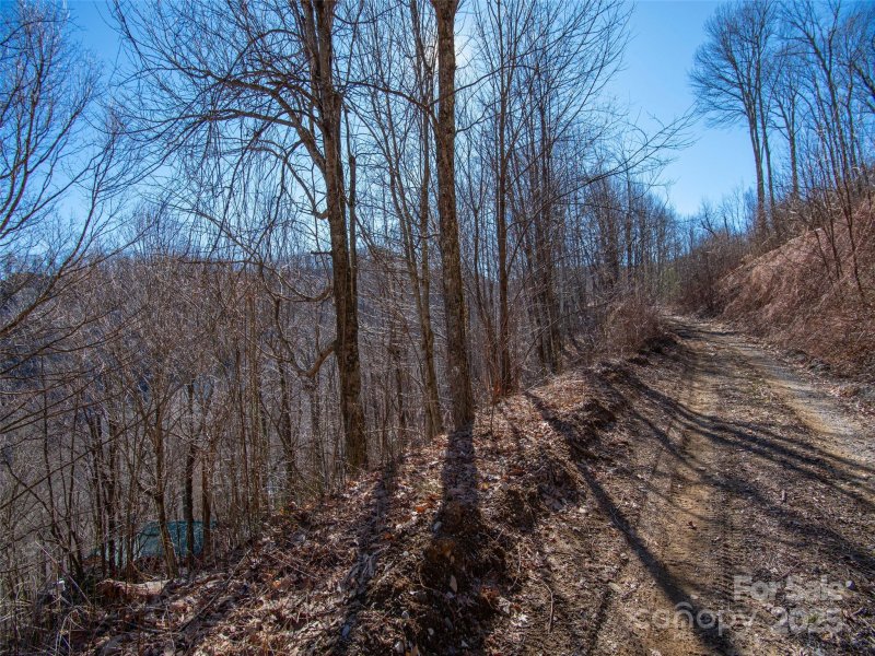 Property image 3 of 00 Long Branch Road in Smokey Mountain Acres, Maggie Valley, NC 28751