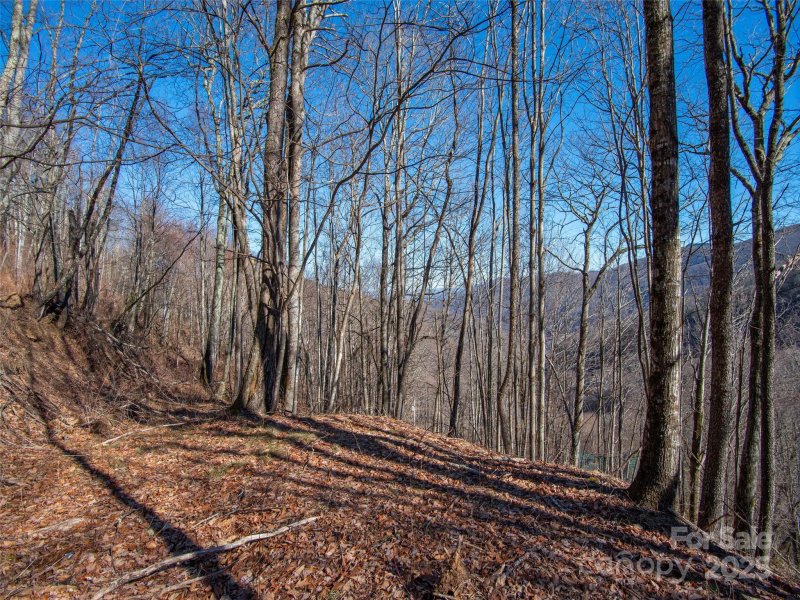 Property image 4 of 00 Long Branch Road in Smokey Mountain Acres, Maggie Valley, NC 28751