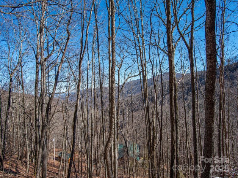 Property image 5 of 00 Long Branch Road in Smokey Mountain Acres, Maggie Valley, NC 28751