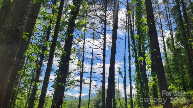 Property image 4 of 51 Barebridge Fields Road in Barebridge Fields, Burnsville, NC 2874