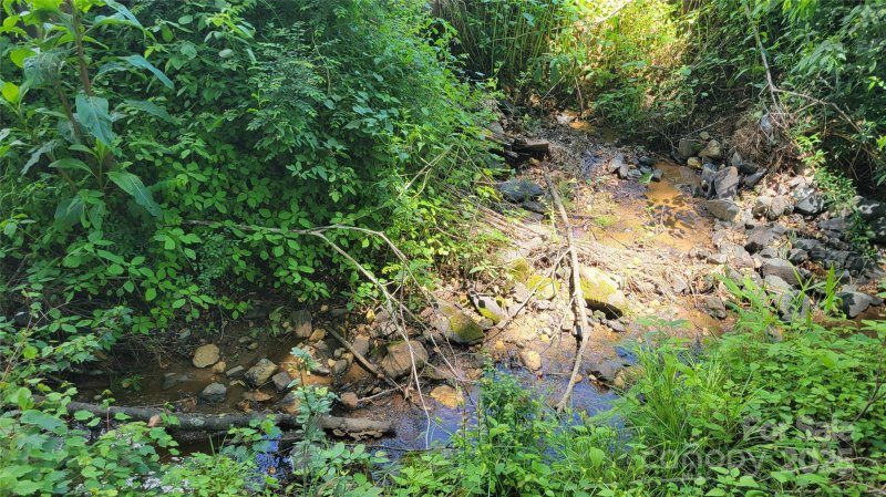 Property image 5 of 51 Barebridge Fields Road in Barebridge Fields, Burnsville, NC 2874