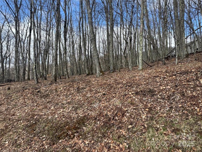 Property image 2 of 344 Tearshirt Lane in Wolf Laurel, Mars Hill, NC 28754